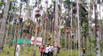 ಅಡಿಕೆ ಉಳಿಸಲು ಯತ್ನಿಸುತ್ತಿವೆ ಸಹಕಾರಿ ಸಂಘಗಳು…..