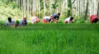 ಕೃಷಿ ಸಂದೇಶ ನೀಡುವ ಕುಂಬ್ಲಾಡಿಯ ದೇವಸ್ಥಾನ