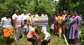 ಬೆಳ್ಳಾರೆ ಶಿಶುಮಂದಿರದಲ್ಲಿ ವನಮಹೋತ್ಸವ ಮತ್ತು ಮಾಹಿತಿ ಕಾರ್ಯಕ್ರಮ