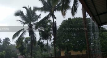 ಸುಳ್ಯದಲ್ಲಿ ಉತ್ತಮ ಮಳೆ : ಮುಂಗಾರು ಚುರುಕಾಗುವ ಲಕ್ಷಣ