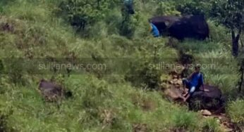 ಕುಮಾರಪರ್ವತ ಚಾರಣದ ವೇಳೆ ಯುವಕ ನಾಪತ್ತೆ ಪ್ರಕರಣ : ಗಿರಿಗದ್ದೆ ಬಳಿ ಹುಡುಕಾಟ