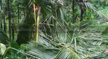 ಆಲೆಟ್ಟಿ ಗ್ರಾಮದಲ್ಲಿ ಕಾಡಾನೆ ಹಾವಳಿ | ನಿದ್ರೆ ಬಿಟ್ಟು ತೋಟ ಕಾಯುತ್ತಿದ್ದಾರೆ ಕೃಷಿಕರು | ವ್ಯಾಟ್ಸಪ್‌ ಗುಂಪು ಮೂಲಕ ಕಾಡಾನೆ ಚಲನವಲನ ಮಾಹಿತಿ | ಅಧಿಕಾರಿಗಳೇ, ಜನಪ್ರತಿನಿಧಿಗಳೇ ಇತ್ತ ಗಮನಿಸಿ |