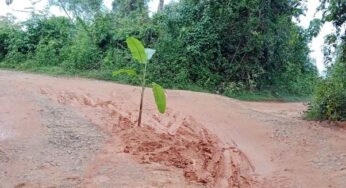 ಆದರ್ಶವಾಗಿಲ್ಲ ಬಳ್ಪದ ಗ್ರಾಮೀಣ ರಸ್ತೆ | ಸುಸ್ತಾದ ಗ್ರಾಮೀಣ ಜನರು ರಸ್ತೆಗೆ ನೆಟ್ಟರು ಬಾಳೆ..!