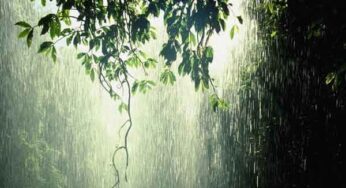ವಿವೇಕಾನಂದ ಎಚ್‌ ಕೆ ಬರೆಯುತ್ತಾರೆ…. | ಮಳೆರಾಯನ ಅಂತರಂಗದ ಅಳಲು…….. |