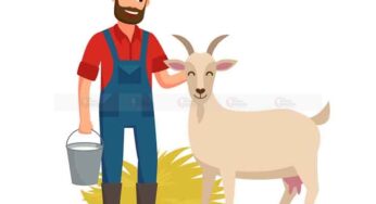 Short Story | The Greedy Farmer