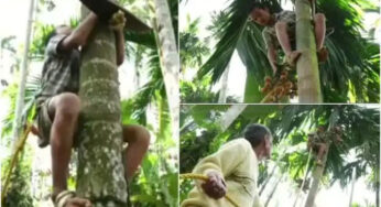 ಅ‌ಡಿಕೆ ಕೃಷಿಕ ಹುಡುಗ | ಅಡಿಕೆ ಮರಕ್ಕೆ ಏರುವ ಬಾಲಕ – ಅಡಿಕೆ ಕೊಯ್ಲು ಮಾಡಲೂ ಸೈ…! |