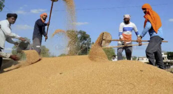 ವಿಶ್ವಸಂಸ್ಥೆ ಆಹಾರ ನೆರವು ಯೋಜನೆ | ಅಫ್ಫಾನ್‌ಗೆ 50,000 ಮೆಟ್ರಿಕ್ ಟನ್ ಗೋಧಿ ನೀಡಲಿರುವ ಭಾರತ |