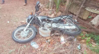 ಪಾಲಡ್ಕದಲ್ಲಿ ಬೈಕ್ ಮತ್ತು ರಿಕ್ಷಾಕ್ಕೆ ಡಿಕ್ಕಿ ಹೊಡೆದು ಪರಾರಿಯಾಗಲೆತ್ನಿಸಿದ ಆರೋಪಿಯು ಸುಳ್ಯದಲ್ಲಿ ಸೆರೆ