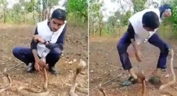 ಮೂರು ನಾಗರಹಾವುಗಳೊಂದಿಗೆ ಆಟವಾಡಿದ ಯುವಕ | ಆಸ್ಪತ್ರೆಗೆ ದಾಖಲು