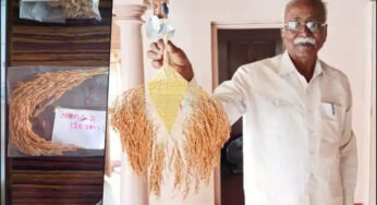 ಹೊಸ ಭತ್ತದ ತಳಿ ಪತ್ತೆಹಚ್ಚಿ ಪೇಟೆಂಟ್ ಪಡೆದ ರೈತ !