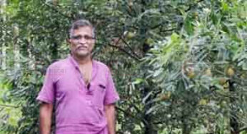 ತೊಟ್ಟೆತ್ತೋಡಿಯ ತೋಟದಲ್ಲಿ ಜಾಲಿಯಾಗಿವೆ “ಜಾಯಿಕಾಯಿ” | ಕಲ್ಕಡ್ಕದ ಸುರೇಶ್ಚಂದ್ರ ಅವರ ಜಾಯಿಕಾಯಿ ಕೃಷಿ | ಅಡಿಕೆ ಬೆಳೆಗಾರರಿಗೆ ಉಪಬೆಳೆಯೂ ಏಕೆ ಬೇಕು ?