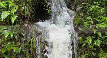 ಮಳೆ ಎಂಬ ಮಾಯೆಯ ಲೆಕ್ಕ | ಮಳೆ ಬಂದಾಗ ಬಿಸಿಲಿನಾಸೆ, ಬಿಸಿಲು ಬಂದಾಗ ಚಳಿಯ ಆಸೆ…. ! | ಮಳೆಯ ಸುತ್ತ ಬರೆಯುತ್ತಾರೆ ಕೃಷಿಕ ಟಿ ಆರ್‌ ಸುರೇಶ್ಚಂದ್ರ |