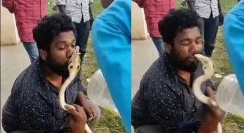 ಹಾವು ಹಿಡಿದು ಮುತ್ತಿಡಲು ಹೋಗಿ ಕಚ್ಚಿಸಿಕೊಂಡ ಸ್ನೇಕ್ ಮಾಸ್ಟರ್…!