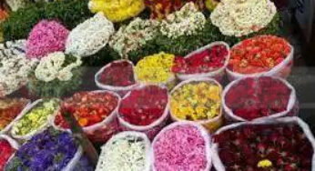 ಹಬ್ಬದ ಸಂಭ್ರಮಕ್ಕೆ “ಬಿಸಿ” | ಅಗತ್ಯ ವಸ್ತುಗಳ ಬೆಲೆ ಏರಿಕೆ |
