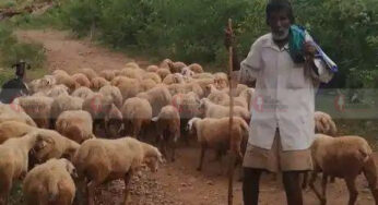 ಹಲವು ಕೆರೆಗಳನ್ನು ನಿರ್ಮಿಸಿ ಸಾಧನೆ ಮಾಡಿದ ಕಾಮೇಗೌಡ ನಿಧನ