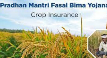 #Agriculture | ಹವಾಮಾನ ಆಧಾರಿತ ಬೆಳೆವಿಮೆ | ದ ಕ ಜಿಲ್ಲೆಯ ಅಡಿಕೆ ಬೆಳೆಗಾರರಿಗೂ ಬಂತು ಬೆಳೆ ವಿಮೆ ಅವಕಾಶ | ಪ್ರೀಮಿಯಂ ಪಾವತಿಗೆ ಜು.31 ಕೊನೆಯ ದಿನ |