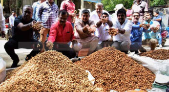 ಕಾಡುಮಲ್ಲೇಶ್ವರಂನಲ್ಲಿ ನ.12 ರಿಂದ ಕಡಲೆಕಾಯಿ ಪರಿಷೆ | ಕಡಲೆಕಾಯಿ ಮಾರಾಟಕ್ಕೆ 400 ಮಳಿಗೆ : ಕೃಷಿ ಉತ್ಪನ್ನಗಳ ಮಾರಾಟಕ್ಕೆ ಸಕಲ ವ್ಯವಸ್ಥೆ – ಬಿ.ಕೆ. ಶಿವರಾಂ