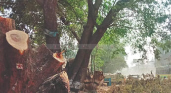 ಪುಂಜಾಲಕಟ್ಟೆ-ಚಾರ್ಮಾಡಿ ರಸ್ತೆ ಅಗಲೀಕರಣ | 5,494 ಮರಗಳ ತೆರವು : ಅಭಿವೃದ್ಧಿಯೇ..? ಪರಿಸರ ನಾಶವೇ..?