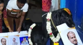 ಯಾರಾಗ್ತಾರೆ ಮುಂದಿನ ಸಿಎಂ? ಭವಿಷ್ಯ ನುಡಿದ ಮಂಡ್ಯದ ನಾಯಿ!