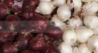 #Onion | ಈರುಳ್ಳಿಗಿದೆ ಕ್ಯಾನ್ಸರ್‌ ದೂರ ಮಾಡುವ ಶಕ್ತಿ | ಯಾವ ಈರುಳ್ಳಿ ಆರೋಗ್ಯಕ್ಕೆ ಒಳ್ಳೆಯದು..?