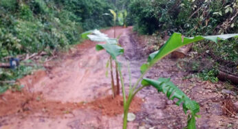 #RuralRoad | ಮಳೆ ಆರಂಭವಾಯ್ತು | ಗ್ರಾಮೀಣ ರಸ್ತೆಗಳ ಅವ್ಯವಸ್ಥೆಗಳೂ ಆರಂಭವಾಯ್ತು…! | ಬಾಳೆನೆಟ್ಟು ಜನರ ಆಕ್ರೋಶ |