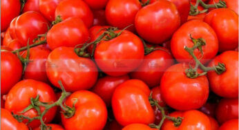 #TomatoPrice| ಕೇಂದ್ರ ಸರ್ಕಾರದಿಂದ ಗ್ರಾಹಕರಿಗೆ ಸಿಹಿಸುದ್ದಿ | ದೇಶದಲ್ಲಿ ಟೊಮೆಟೊ ಬೆಲೆ ಇಳಿಸಲು ಪ್ಲಾನ್