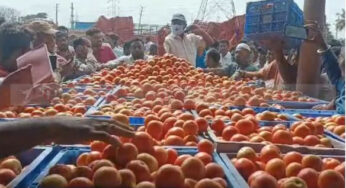 #TomatoPrice| ಟೊಮೆಟೋ ಬೆಲೆ ಏರಿಕೆಗೆ ಸರ್ಕಾರದಿಂದ ಬ್ರೇಕ್ | ಸಬ್ಸಿಡಿ ಹೆಚ್ಚಿಸಿ ಕಿಲೋಗೆ 70 ರೂನಂತೆ ಮಾರಾಟ |