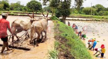 #agriculture| ರೈತರಿಗೆ ಸಾಲ ಮಾಡುವ ಅನಿವಾರ್ಯತೆ ಯಾಕೆ ಸೃಷ್ಟಿಯಾಗಿದೆ..? | ಅದನ್ನು ಸೃಷ್ಟಿಸಿದ್ದು ಯಾರು? ಉತ್ತೇಜನ ಕೊಟ್ಟವರು, ಈಗಲೂ ಕೊಡುತ್ತಿರುವವರು ಯಾರು? ಸರ್ಕಾರವೇ..? |