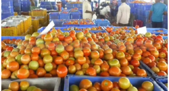 #TomatoPrice | ಗಗನಕ್ಕೇರಿದ್ದ ಟೊಮೆಟೋ ಬೆಲೆಯಲ್ಲಿ ಕುಸಿತ |