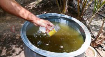 #WasteDecomposer | ವೇಸ್ಟ್ ಡಿಕಂಪೋಸರ್ ಮೂಲಕ ಮಣ್ಣಿನ ಫಲವತ್ತತೆ ಹೆಚ್ಚಿಸಿ | ಬೆಳೆಯ ಇಳುವರಿ ಪ್ರಮಾಣವನ್ನು ಹೆಚ್ಚಿಸಿ, ಗಿಡಗಳ ರೋಗನಿರೋಧಕ ಶಕ್ತಿಯನ್ನು ವೃದ್ಧಿಸಿ |