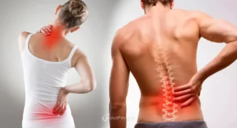 #Backache | ಸಾಮಾನ್ಯವಾಗಿ ಎಲ್ಲರಿಗೂ ಕಾಡುವ ಬೆನ್ನು ನೋವು | ಆಯುರ್ವೇದ ಚಿಕಿತ್ಸೆ ಮೂಲಕ ನೋವಿನಿಂದ ಹೊರಬನ್ನಿ‌ |