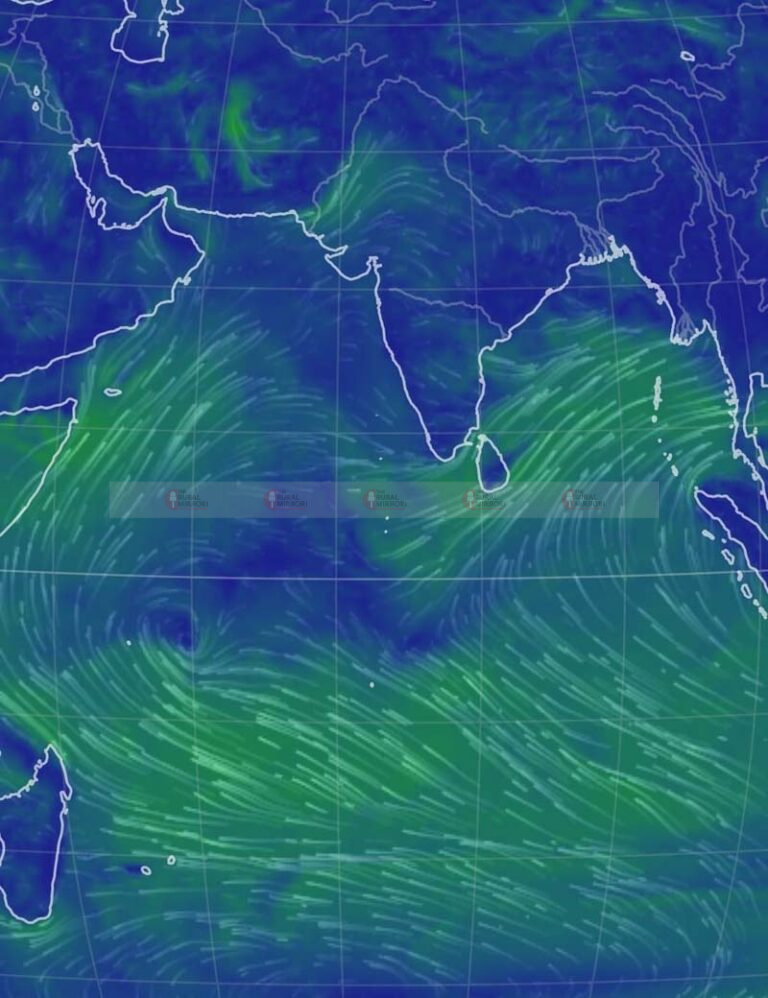 #WeatherMirror | 03-09-2023 | ಸೆ.6 ರಿಂದ ಮುಂಗಾರು ಚುರುಕಾಗುವ ಸಾಧ್ಯತೆ |