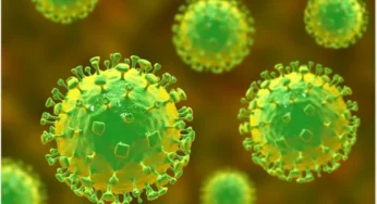 #Niphavirus | ಹೆಚ್ಚಿದ ನಿಫಾ ವೈರಸ್ ಸೋಂಕು ಹಿನ್ನೆಲೆ | ಬನ್ನೇರುಘಟ್ಟ ಜೈವಿಕ ಉದ್ಯಾನವನದಲ್ಲಿ ಹೈ ಅಲರ್ಟ್ |