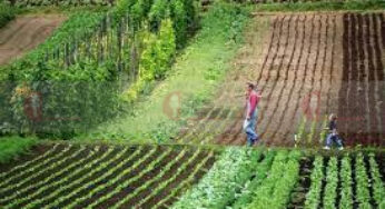 #Agriculture | ತೋಟ ನಿರ್ಮಾಣ ಮಾಡುವುದು ಹೇಗೆ? | ಈ ಬಗ್ಗೆ ಸಮಾಲೋಚನೆ ಅಗತ್ಯವಿದೆಯೇ? | ಇಲ್ಲಿದೆ ಮಾಹಿತಿ..