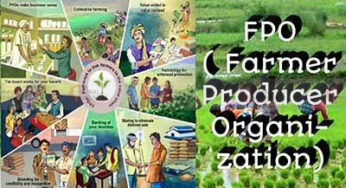 ರೈತ ಉತ್ಪಾದಕ ಸಂಸ್ಥೆ -ಕಂಪನಿಗಳಿಂದ (FPO/FPC) ರೈತರಿಗೆ ಅನುಕೂಲವಾಗಿದೆಯೇ…?