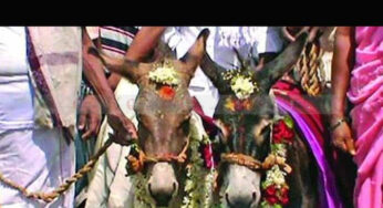 ರಾಜ್ಯಾದ್ಯಂತ ಭೀಕರ ಬರಕ್ಕೆ ರೈತರು ಕಂಗಾಲು | ಮಳೆಗಾಗಿ ಕತ್ತೆಗಳ‌ ಅದ್ಧೂರಿ ಮದುವೆ