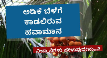 ಅಡಿಕೆ ಬೆಳೆಗೆ ಕಾಡಲಿರುವ ಹವಾಮಾನ ವೈಪರೀತ್ಯ…..!