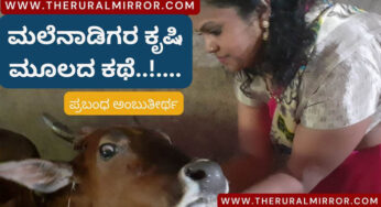 ಗೋವಿಂದ ಭಟ್ಟರ ಗೋಪೂಜೆ ಕಾರ್ಯಕ್ರಮ….. | ಬಹುತೇಕ ಮಲೆನಾಡಿಗರ ಕೃಷಿ ಮೂಲದ ಕಥೆ..!