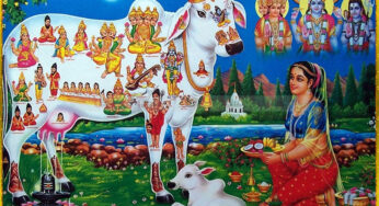 ಗೋವತ್ಸ ದ್ವಾದಶೀ ಮಹತ್ವ | ಹಸು ಮತ್ತು ಕರುಗಳನ್ನು ಪೂಜಿಸುವ ವಿಶೇಷ ಹಬ್ಬ | ನ. 09 ರಂದು ಗುರುವಾರ ಆಚರಣೆ