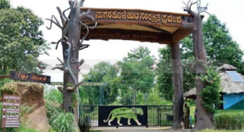 ನಾಗರಹೊಳೆ, ಅಭಯಾರಣ್ಯ ವ್ಯಾಪ್ತಿ ಮೇಲೆ ಇನ್ನು ಮುಂದೆ ಗರುಡನ ಕಣ್ಣು…! | ಸಿಸಿಟಿವಿ ಕ್ಯಾಮೆರಾದ ವಿಶೇಷತೆ, ಕಾರ್ಯವೈಖರಿ ಏನು..? |