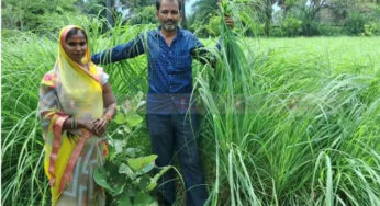 ಲೆಮನ್​ ಗ್ರಾಸ್​ ಬೆಳೆಯ ಮೂಲಕ ಬದುಕು ಬದಲಾಯಿಸಿದ ಕುಟುಂಬ | ನಕ್ಸಲ್‌ ಪೀಡಿತ ಪ್ರದೇಶದ ರೈತ ದಂಪತಿಯ ಯಶೋಗಾಥೆ