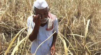 ಬರಗಾಲದಿಂದ ತತ್ತರಿಸಿದ ಕರ್ನಾಟಕದ ರೈತರು | ಸಂಕಷ್ಟಕ್ಕೆ ಈ ವರ್ಷ 456 ರೈತರು ಆತ್ಮಹತ್ಯೆ | ಏರುತ್ತಿದೆ ನಿತ್ಯ ವಸ್ತುಗಳ ಬೆಲೆ