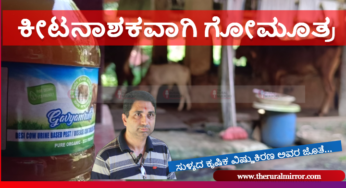 ಕೀಟನಾಶಕವಾಗಿ ಗೋಮೂತ್ರ ಬಳಕೆ..