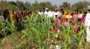 ಎಳ್ಳು ಅಮವಾಸ್ಯೆ | ಮಣ್ಣಿನ ಸಂಸ್ಕೃತಿ ಈ ದಿನ ಹಲವು ಕಡೆ ಶ್ರೇಷ್ಠ ಏಕೆ ಗೊತ್ತಾ…? |
