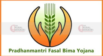 ಶೇಂಗಾ, ಸೋಯಾಬೀನ್ ಬೆಳೆಗಾರರಿಗೆ ಮಧ್ಯಂತರ ಬೆಳೆ ವಿಮೆ ಬಿಡುಗಡೆಗೆ ಕ್ರಮ | ಪ್ರಹ್ಲಾದ್ ಜೋಶಿ