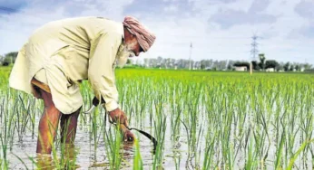 ನೀವು ಕೃಷಿಕರೇ….? ಹಾಗಿದ್ದರೆ ಇದನ್ನು ತಪ್ಪದೆ ಓದಿ | ಹಾಗೆ ಅನುಸರಿಸಿ…