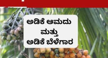 ಅಡಿಕೆ ಆಮದು-ಅಡಿಕೆ ಮಾರುಕಟ್ಟೆ-ಅಡಿಕೆ ಬೆಳೆಗಾರ | ಯೋಚಿಸುವ ಕಾಲ ಇದು |
