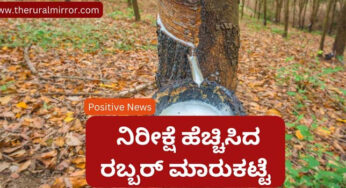 ಹೆಚ್ಚಳಗೊಂಡ ರಬ್ಬರ್‌ ಬಳಕೆ | ನಿಧಾನಗತಿಯಲ್ಲಿ ಏರಿಕೆಯಾಗುತ್ತಿರುವ ರಬ್ಬರ್‌ ಮಾರುಕಟ್ಟೆ | 10 ವರ್ಷಗಳ ಬಳಿಕ ಏರಿಕೆ ಕಂಡ ರಬ್ಬರ್‌ ಧಾರಣೆ |