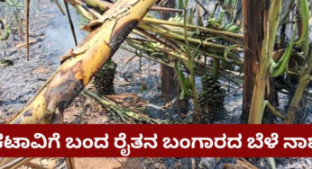 ರೈತನ ಜಮೀನಿಗೆ ಬೆಂಕಿ ಹಚ್ಚಿದ ಕಿಡಿಗೇಡಿಗಳು…!? | ಕಟಾವಿಗೆ ಬಂದ ಬಾಳೆ ಸರ್ವನಾಶ | ದಯವಿಟ್ಟು ಹೀಗೆ ಮಾಡಬೇಡಿ |