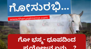 ಗೋಧೂಪ ಹಾಗೂ ಭಸ್ಮ